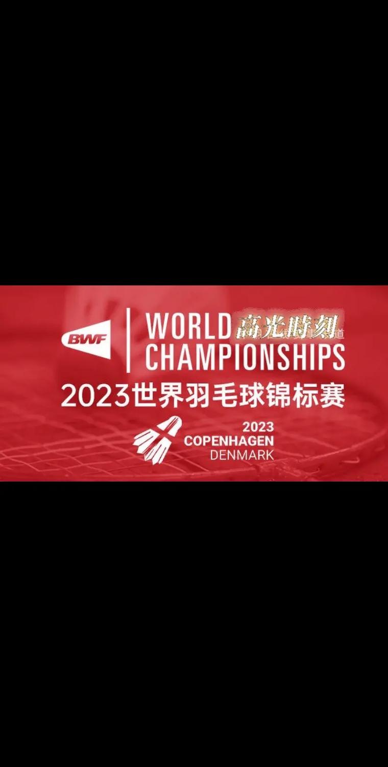 参加羽毛球世界锦标赛的条件